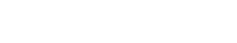 Rapid Nodes Logo